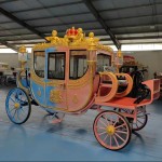 Golf Cart Factory - 8 Seater Lifted CE