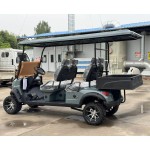 Electric Buggy Factory - 2+4 Seater Street Legal 4WD
