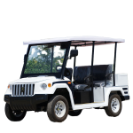 Electric Sightseeing Car Manufacturer - 72V 4-5 Seater