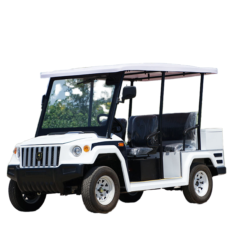 Electric Sightseeing Car Manufacturer - 72V 4-5 Seater