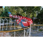 Roller Coaster Manufacturer - Large Family Outdoor Playground