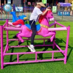 Mountain Slide Manufacturer - Adventure Park Outdoor Coaster Ride