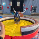 Bullfight Trampoline Manufacturer - Indoor Outdoor Adventure Challenge