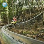 Guardrail Manufacturer - W Beam Traffic Safety Barrier Supplier