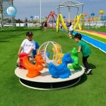 Ring Swing Factory - Non-powered Kids Outdoor Park Attraction