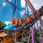 Roller Coaster Manufacturer - Big Amusement Park Equipment