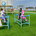 Mountain Slide Manufacturer - Adventure Park Outdoor Coaster Ride