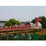 Mini Roller Coaster Manufacturer - Sliding Dragon Amusement Park
