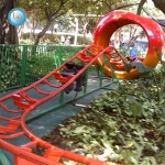 Roller Coaster Manufacturer - Commercial Fun Amusement Park Ride