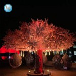 Flying Chair Manufacturer - Watermelon Swing Carousel Kids Equipment