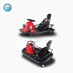Racing Go Kart Manufacturer - 250CC Indoor Metal Karting Car