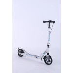 Adult Scooter Manufacturer - Secure Foldable Two Wheel