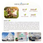 Feeding Chair Supplier - Plastic Folding Travel