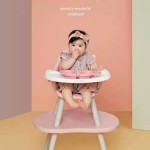 Feeding Chair Factory - Portable Movable Dining