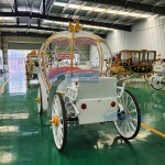 Pumpkin Carriage Manufacturer - OEM Custom Electric Wedding Transportation