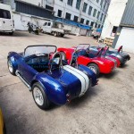Retro Sports Car Manufacturer - 2 Seats Energy-Saving Electric Car