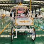 Pumpkin Carriage Manufacturer - OEM Custom Electric Wedding Transportation
