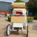 Sightseeing Carriage Manufacturer - Custom Electric Comfortable Carriage