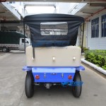 Electric Vintage Car Manufacturer - 5 Seats Sightseeing Retro Vehicle