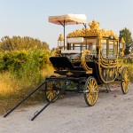 Royal Horse Carriage Factory - Luxury Black Gold Princess Carriage