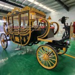 Royal Horse Carriage Factory - Black Gold Multi-functional Luxury
