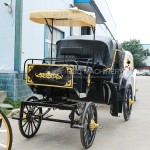 Horse Carriage Manufacturer - Wedding Sightseeing Cart Wagon