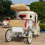 Sightseeing Carriage Manufacturer - Custom Electric Comfortable Carriage