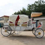 Sightseeing Carriage Manufacturer - Custom Electric Comfortable Carriage