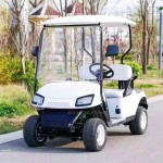 Golf Cart Manufacturer - 2 Seater Electric Custom