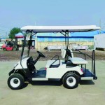 Golf Cart Manufacturer - 2 Seater Electric Custom