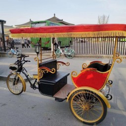 Electric Rickshaw Supplier - 48V 1000W 4 Passenger