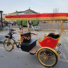 Electric Rickshaw Supplier - 48V 1000W 4 Passenger
