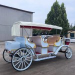 Horse Carriage Manufacturer - Wedding Sightseeing Sale