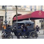 Horse Carriage Factory - Steel Wagon Tourist Carts