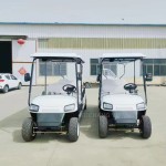 Golf Cart Manufacturer - 2 Seater Electric Custom