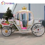 Horse Carriage Supplier - Luxury European Air Conditioned