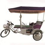 Electric Rickshaw Manufacturer - 3 Person 4 Seats