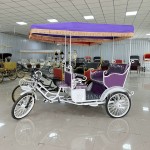 Pedicab Supplier - 5 Seater Passenger Rickshaw