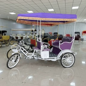 Pedicab Supplier - 5 Seater Passenger Rickshaw