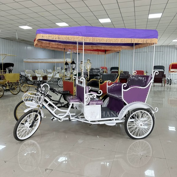 Pedicab Supplier - 5 Seater Passenger Rickshaw