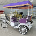 Motorized Pedicab Factory - Adult Purple Rickshaw