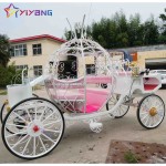 Horse Carriage Manufacturer - Air Conditioned Pumpkin
