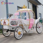Horse Carriage Supplier - Luxury European Air Conditioned