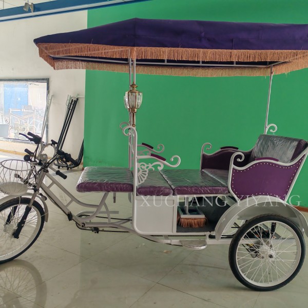 Electric Bike Factory - 3 Wheel Direct Sale