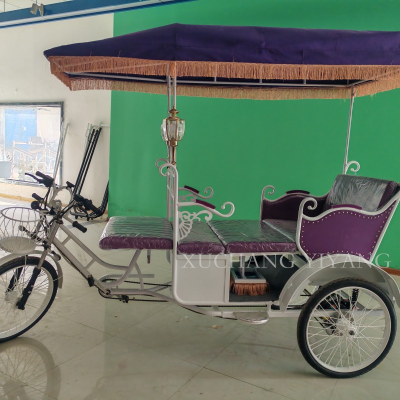 Electric Bike Factory - 3 Wheel Direct Sale