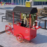 Electric Tricycle Factory - 36V Alloy Kids Cargo