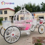 Horse Carriage Manufacturer - Air Conditioned Pumpkin