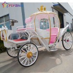 Horse Carriage Supplier - Luxury European Air Conditioned