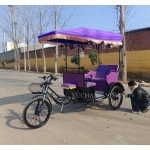 Electric Tricycle Manufacturer - 3 Wheel Passenger