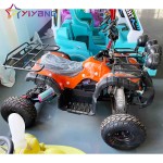 Beach Car Manufacturer - Four-wheel Drive Electric